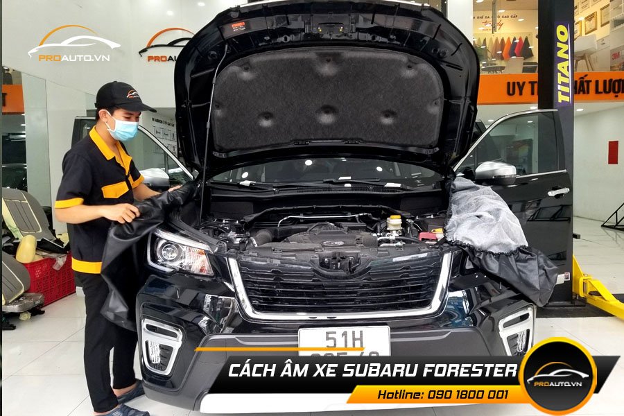 Dán cách âm xe Subaru Forester