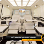 mau-do-ghe-limousine-lexus-lm300h-dep-9