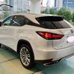 dsn-ppf-xe-Luxury Crossover-6