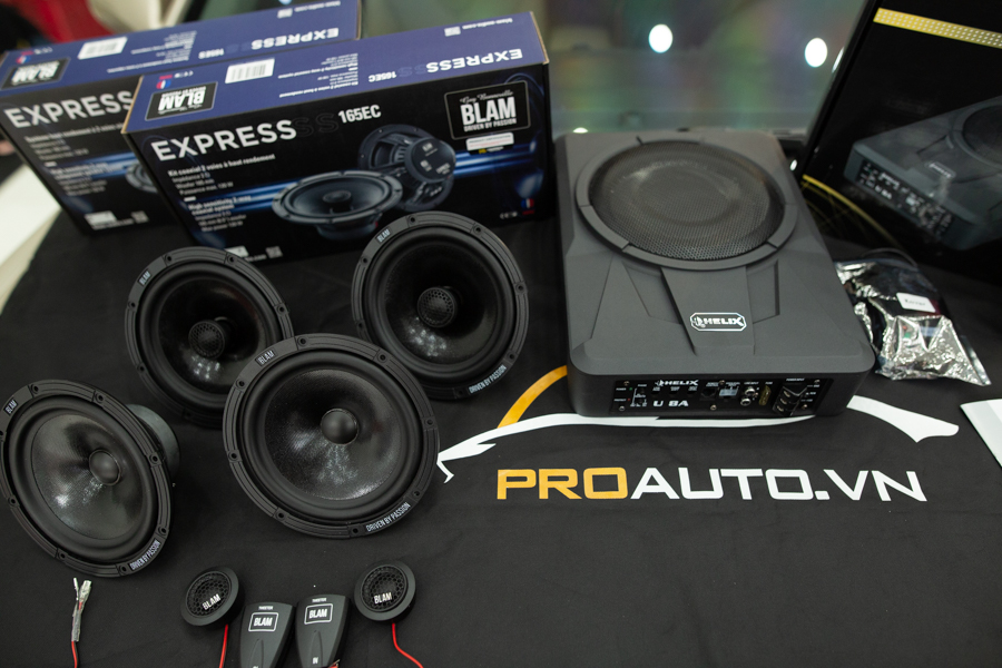 Phân loại âm Bass điển hình nhất