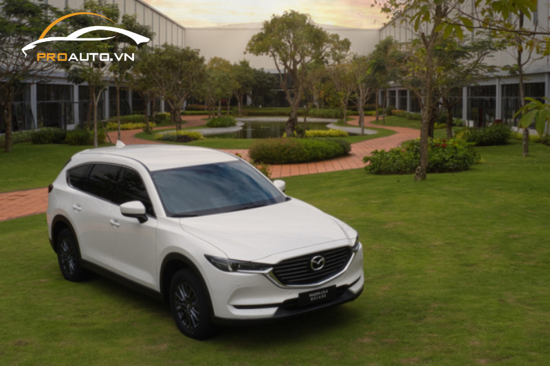 Địa chỉ dán phim cách nhiệt tại huyện Cần Giờ