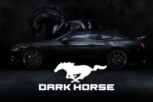 img 5060 jpg 1656017444 1