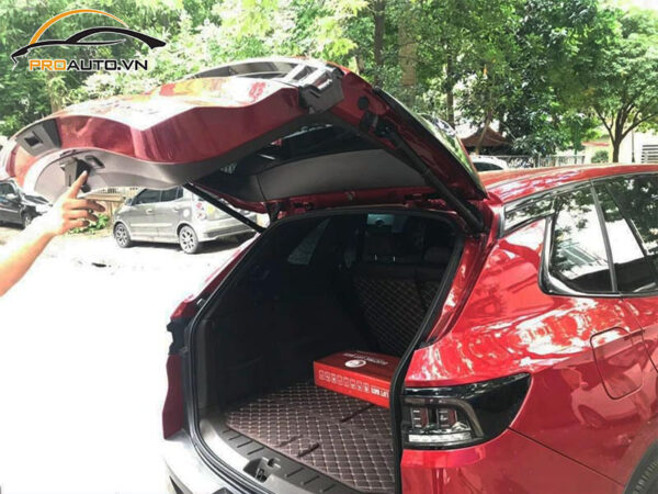 Độ Cốp Điện Xe Vinfast Fadil