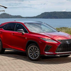 Do mam LEXUS RX350 Hinh 4 1