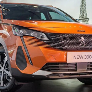 Do mam PEUGEOT 3008 Hinh 9 1