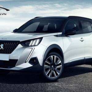 Do mam xe Peugeot 2008 1 1