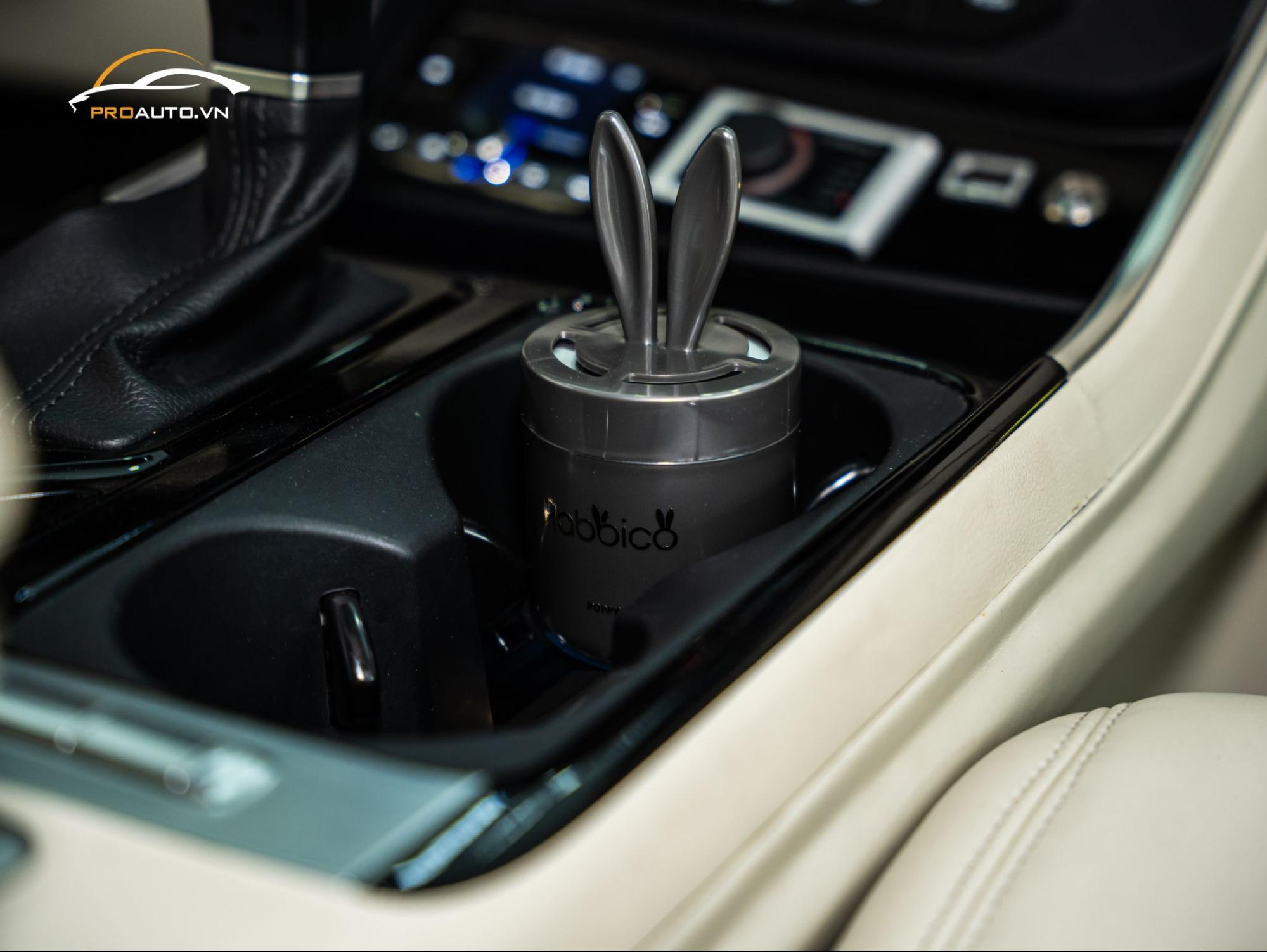 Cách chọn nước hoa ô tô phù hợp