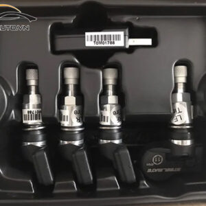 cam bien ap suat lop xe Cross 3 1