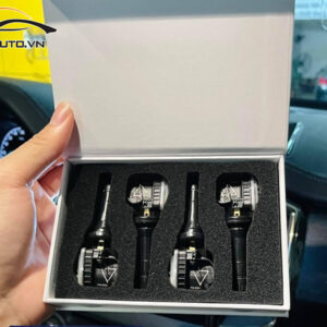 cam bien ap suat lop xe Everest 6 1