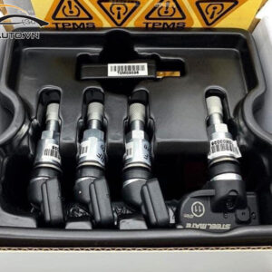 cam bien ap suat lop xe Fiesta 2 1