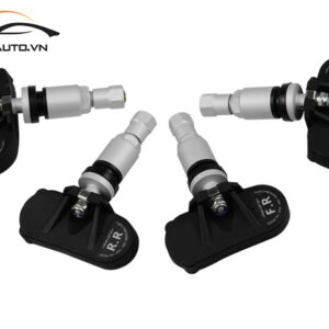 cam bien ap suat lop xe Lux SA2 2 1