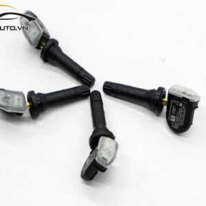 cam bien ap suat lop xe Lux SA2 6 1