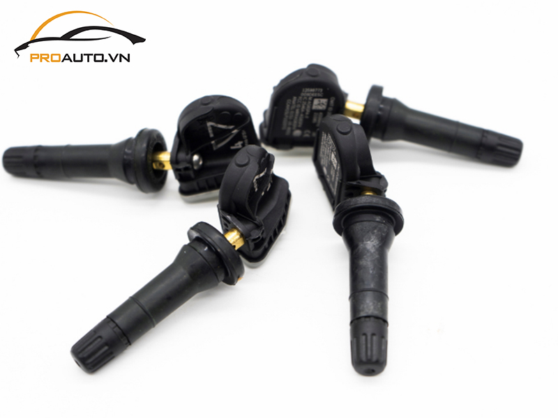 Lắp Cảm Biến Áp Suất Lốp Cho Xe BMW Series 5