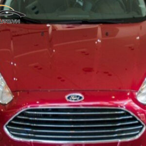 dan ppf xe Fiesta 6 1