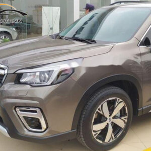 dan ppf xe Subaru Forester 4 1