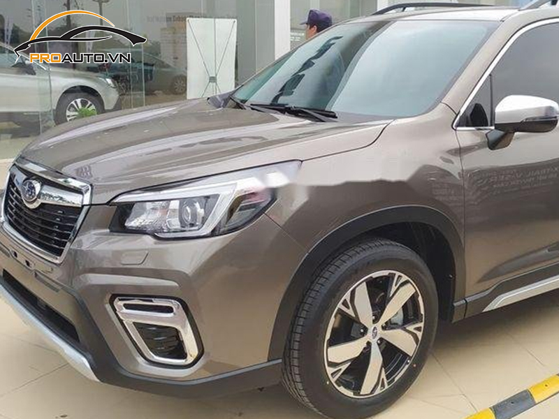 Dán phim PPF xe Subaru Forester
