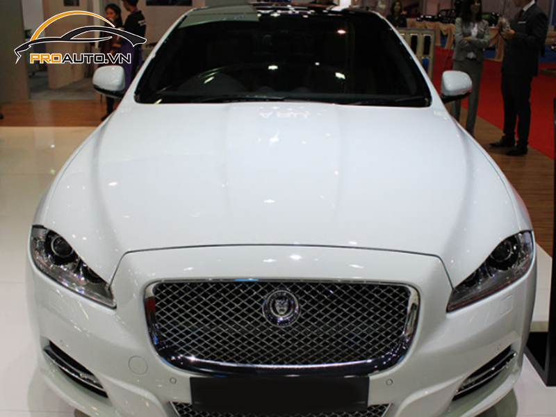 Dán phim PPF xe Jaguar XJ