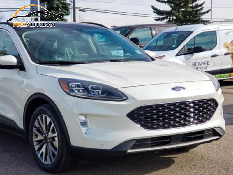Dán phim PPF xe Ford Escape
