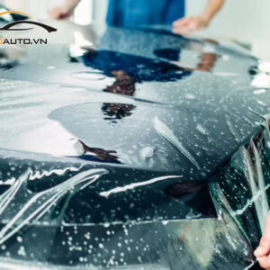 dan ppf xe honda accord h2 1