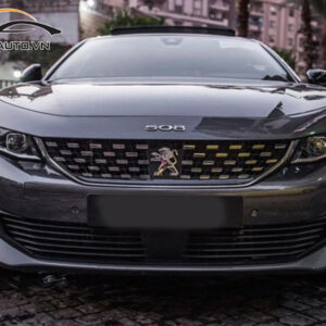 dna ppf xe Peugeot 508 5 1