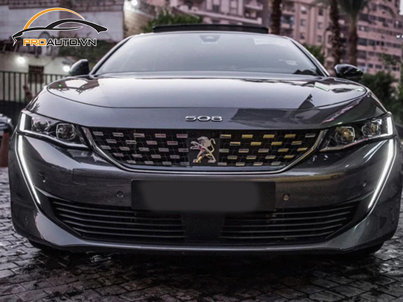 dna ppf xe Peugeot 508 5