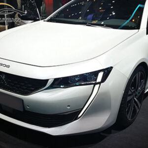 dna ppf xe Peugeot 508 7 1