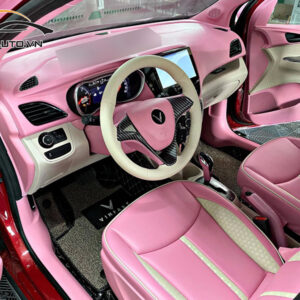 doi mau noi that xe vinfast fadil h1 1