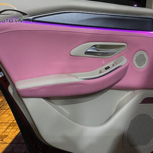 doi mau noi that xe vinfast fadil h14 1