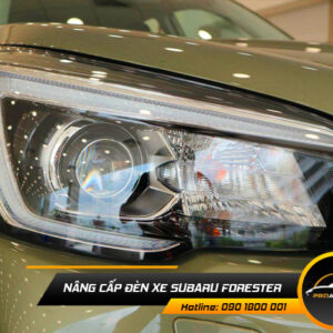 nang cap den xe suzuki forester 1