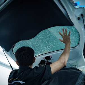 Vị trí kính sườn sau và kính lưng dán phim cách nhiệt xe Kia Rondo