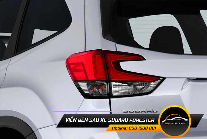 vien den sau xe suzuki forester