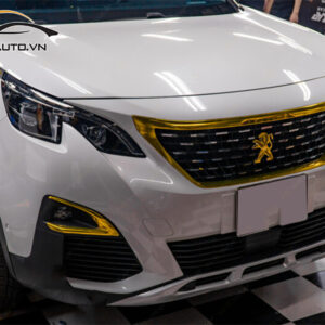 wrap doi mau xe peugeot 3008 h1 1