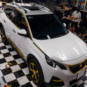 wrap doi mau xe peugeot 3008 h12 1