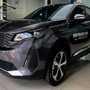 wrap doi mau xe peugeot 3008 h8 1