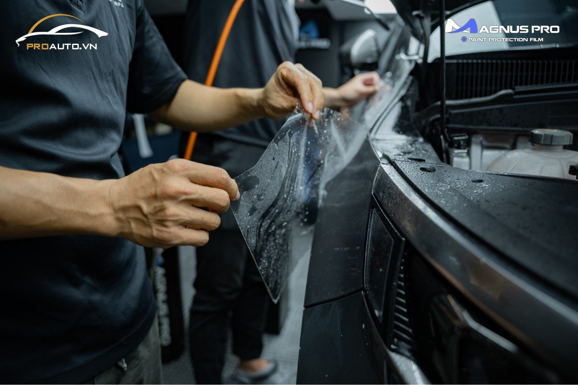 Kỹ thuật viên thi công dán ppf Magnus Pro cho Kia Carnival tại PROAUTO.VN