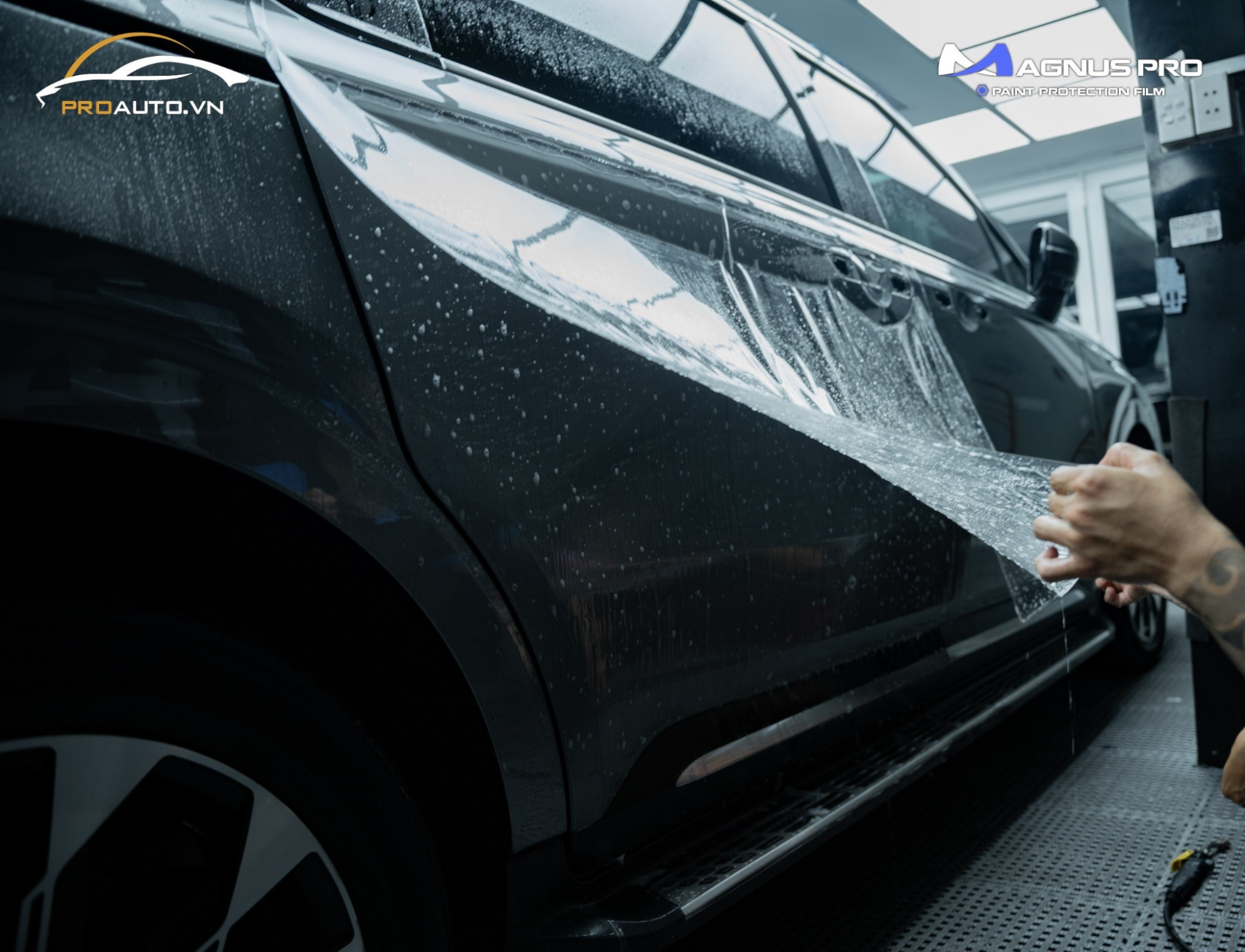 Lựa chọn vị trí dán ppf Magnus Pro cho Kia Carnival