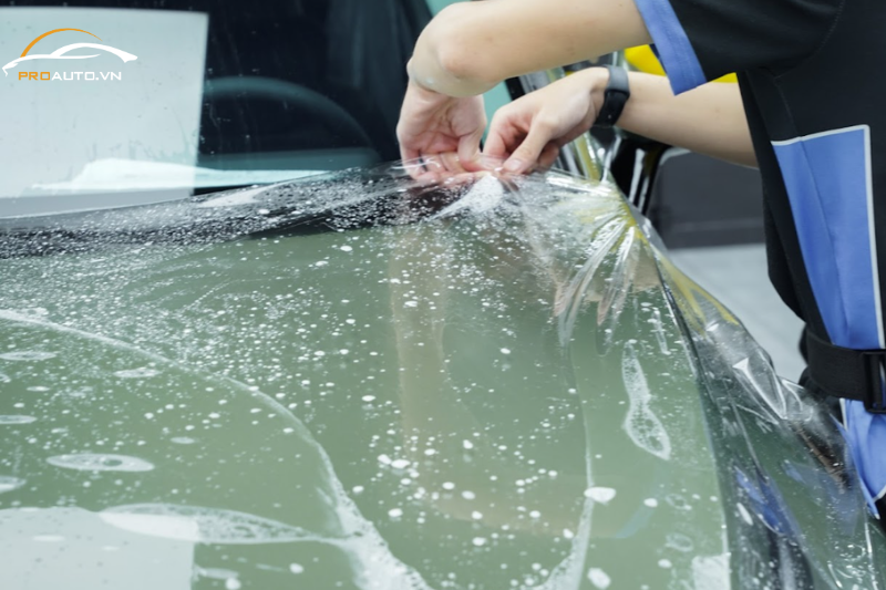 Nên dán PPF 3M hay Xpel cho xế hộp của bạn?