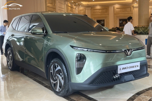 Phụ kiện đồ chơi xe VinFast Limo Green - Bảng giá tốt 2025